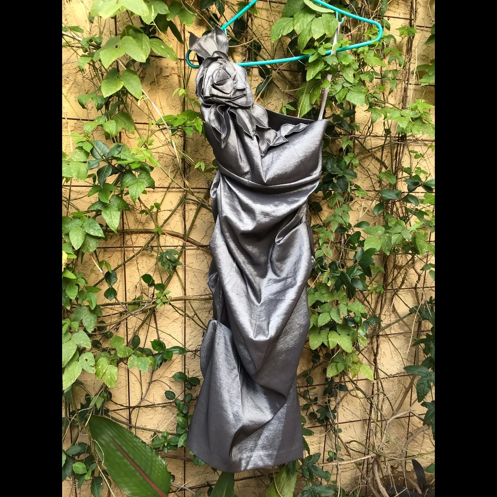 CACHÉ Beauteous Silvery Gray Prom / Cocktail Dress / Formal Sz. 6 - Picture 6 of 9